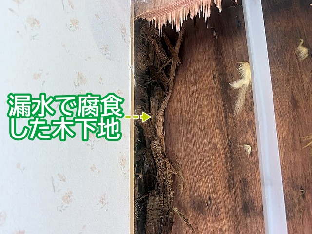 室内の壁の一部を外してみると内部は漏水により木下地が腐食