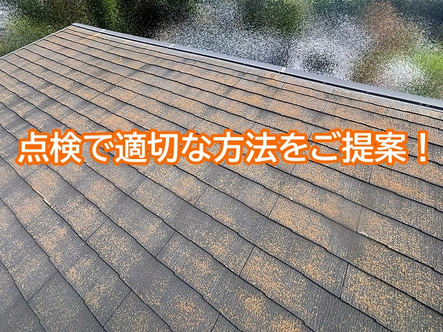 コロニアル屋根の調査点検で適切なメンテナンス方法を提案