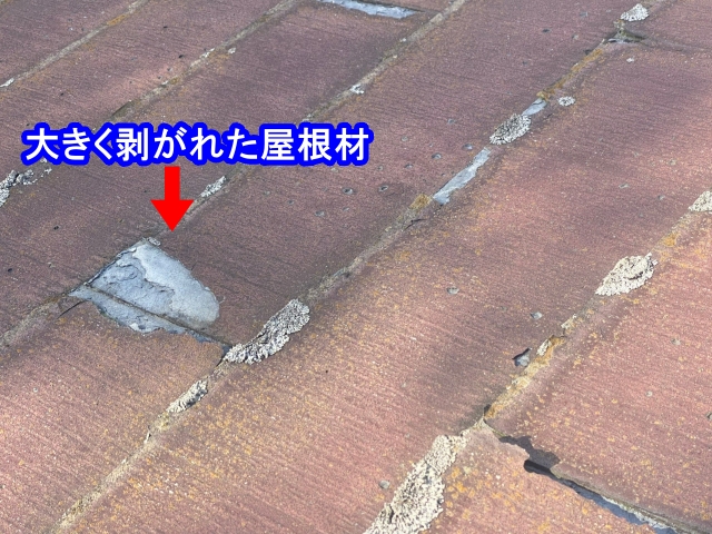 大きく剥がれたパミール