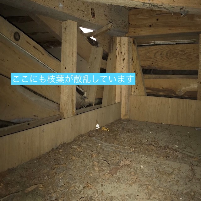 外の明かりが天井裏にもれている