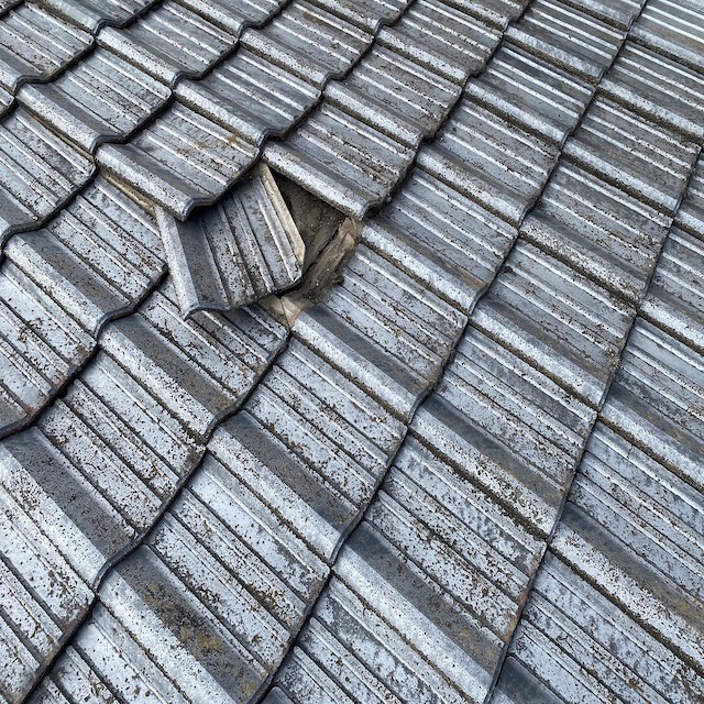 セメント瓦を一枚捲ってみる