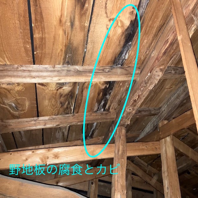 セメント瓦屋根野地板の腐食とカビ