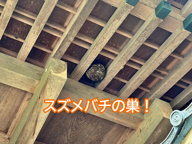 大屋根と下屋根が交差する近くにスズメバチの巣