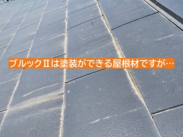 セキスイかわらブルックⅡは塗装のメンテンスは可能