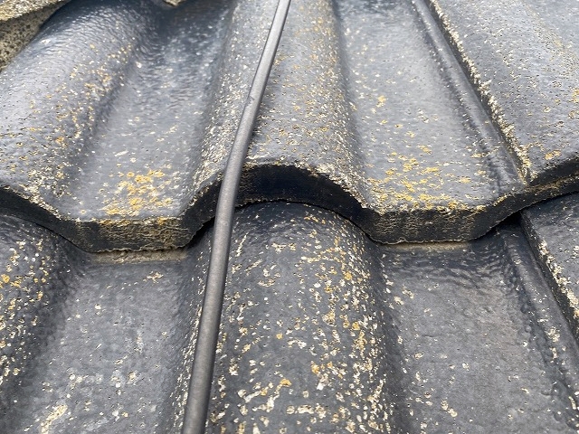 釘浮きを放置して塗装をする業者が多い