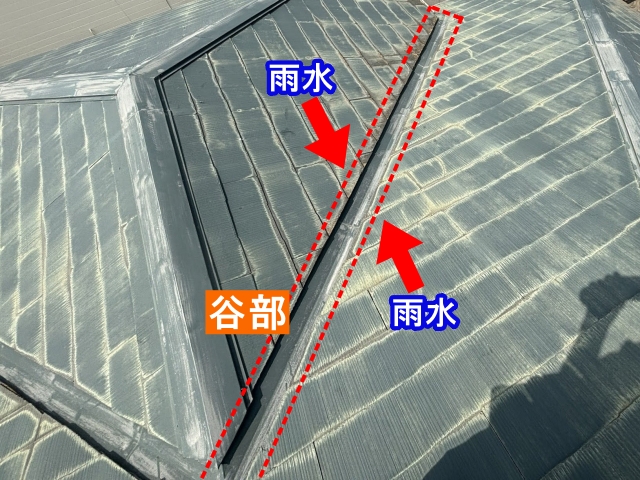 カビで黒ずんだ谷部