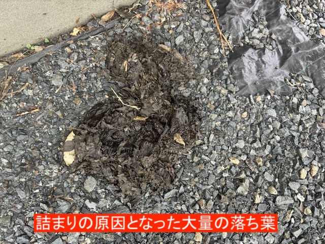 雨樋を詰まらせていた大量の落ち葉