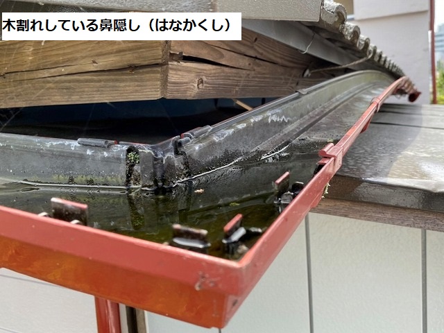 鼻隠しが木割れを起こし雨樋の支持金具が脱落している