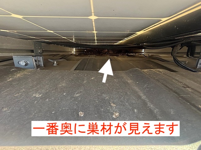 暗い部分がある太陽光パネルの下に営巣跡あり