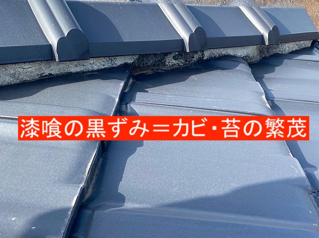 カビや苔の繁茂で黒ずんだ漆喰