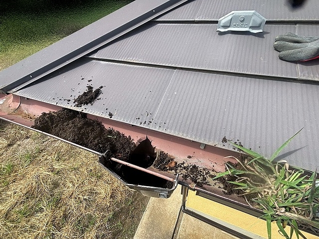 集水器にびっしり詰まった土を撤去