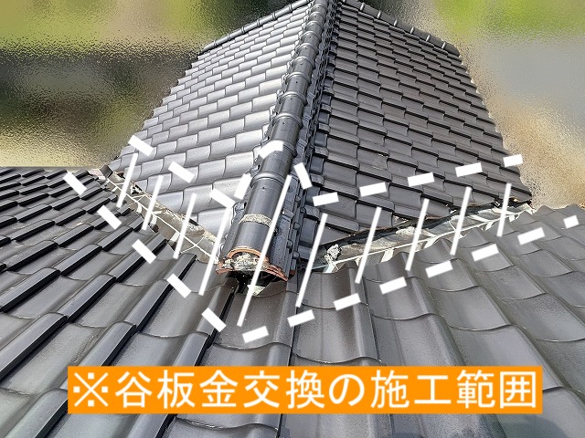 緩衝する瓦を一時的に外す必要がある谷板金の交換