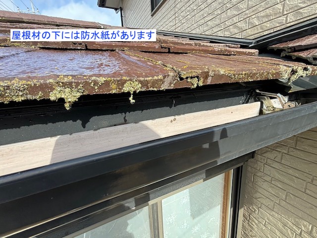 軒先に藻がついた厚型スレート