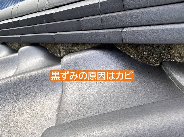 漆喰の黒ずみの原因はカビ