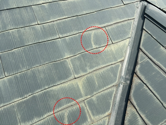 カビを放置するとひび割れに繋がる