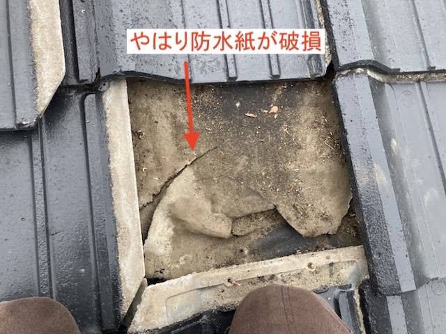 破損した防水紙が雨漏りの原因