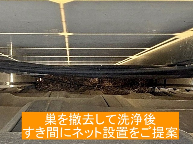 巣を撤去して屋根材を洗浄後隙間にネットを設置して対策