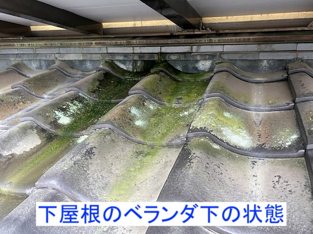 苔やカビが繁殖したベランダ下の漆喰