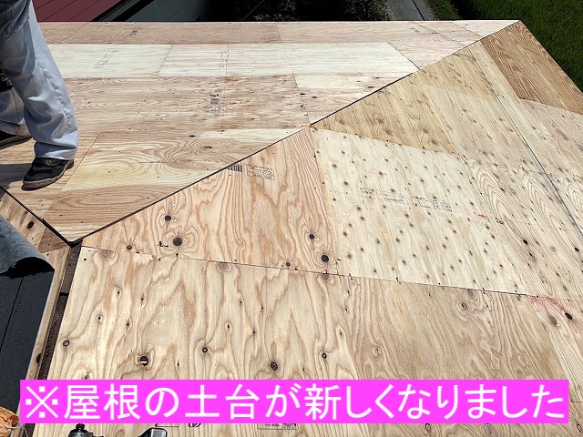 葺き替え前の野地板の増し張りが終了