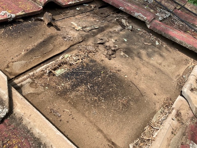 セメント瓦のルーフィング劣化