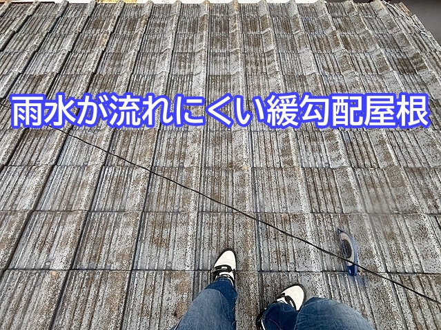 傾斜が緩いため雨水が滞留しやすい構造のセメント瓦屋根