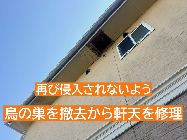 安全な作業環境を確保した上で確実に軒天を修理する