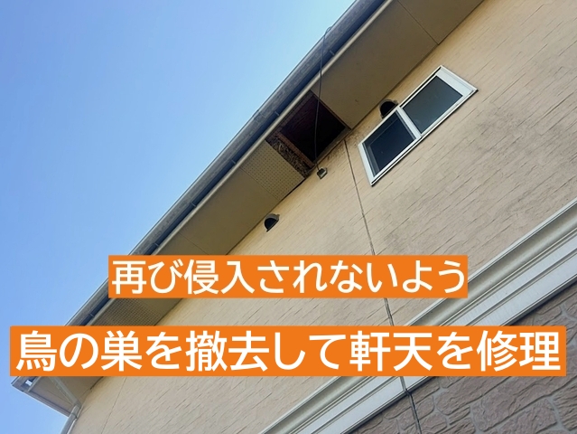 安全な作業環境を確保した上で確実に軒天を修理する