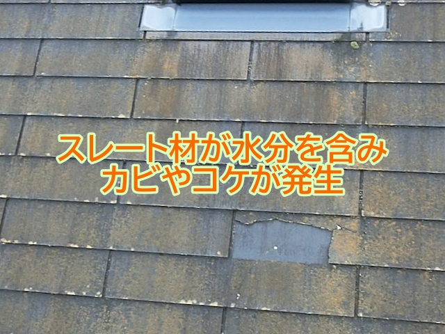 塗膜が劣化してスレート材が水分を含むようになりカビやコケが発生
