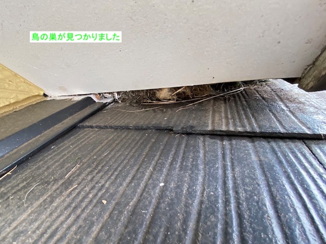 屋根のわずかな隙間に作られる鳥の巣
