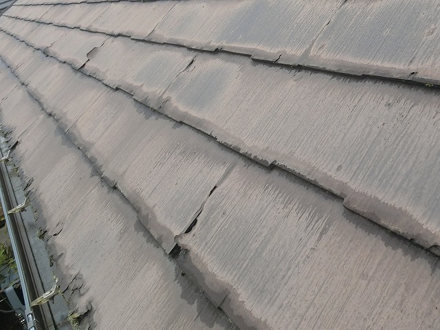 パミールA東面屋根