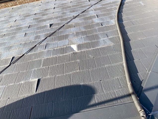 端部が捲れ上がったパミール