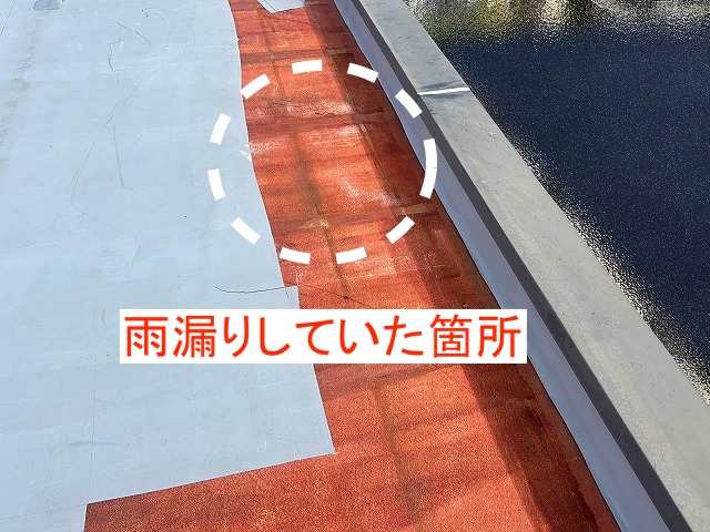 マンション陸屋根の雨漏り箇所に残された白カビと雨染み