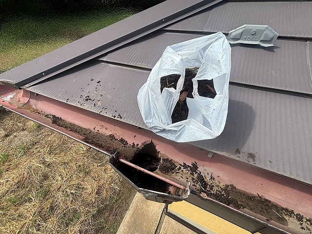 一つの集水器から袋いっぱいの土を回収