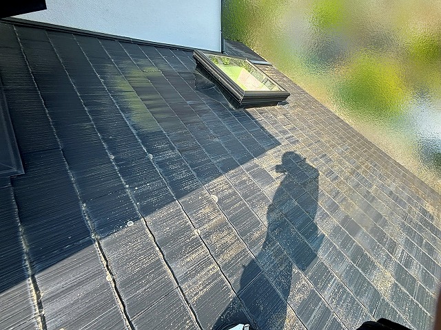 カビに覆われた一階屋根の北側