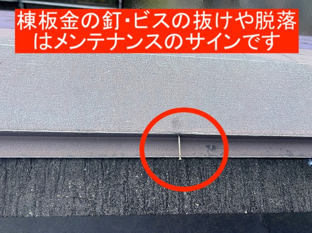 釘やビスの抜けや脱落は棟板金のメンテナンスのサイン