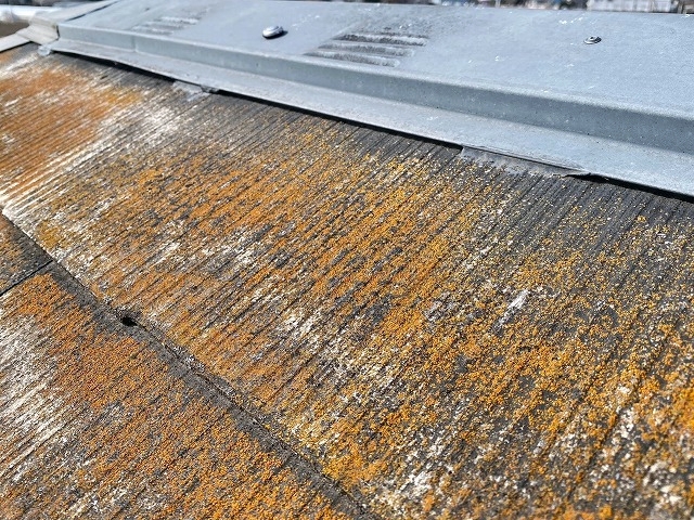 変形はあるが頑丈に取り付けられた棟