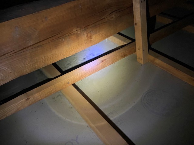 天井裏をライトを照らしながら調査