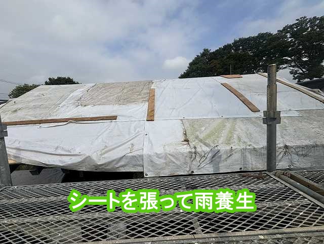 シートを張って、屋根の雨養生