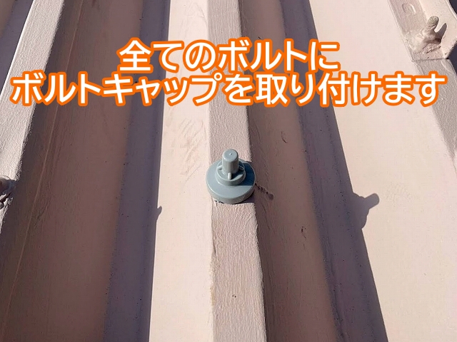 折板屋根の全てのボルトにボルトキャップを設置
