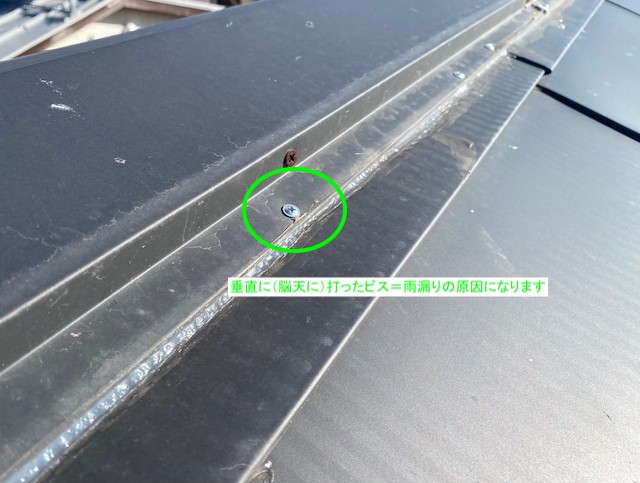 棟板金に垂直に打たれたビス
