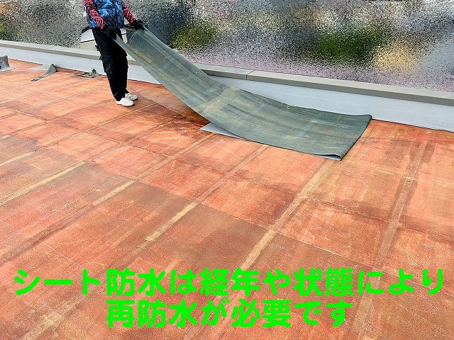 耐用年数を過ぎたシート防水は雨漏りに繋がる可能性があり再防水が必要