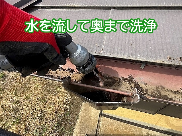 土を取り除いた集水器に水を流して洗浄