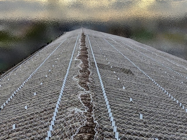 折板屋根のカバーの準備が整った工場の大波スレート屋根