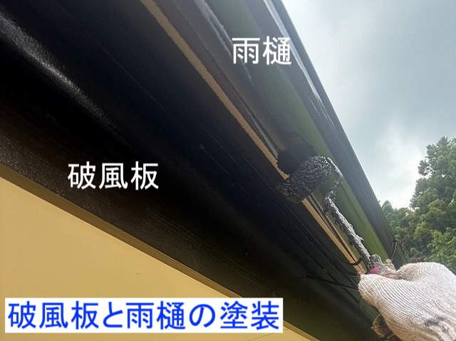 クリーンマイルドシリコンを破風板と雨樋に塗装中