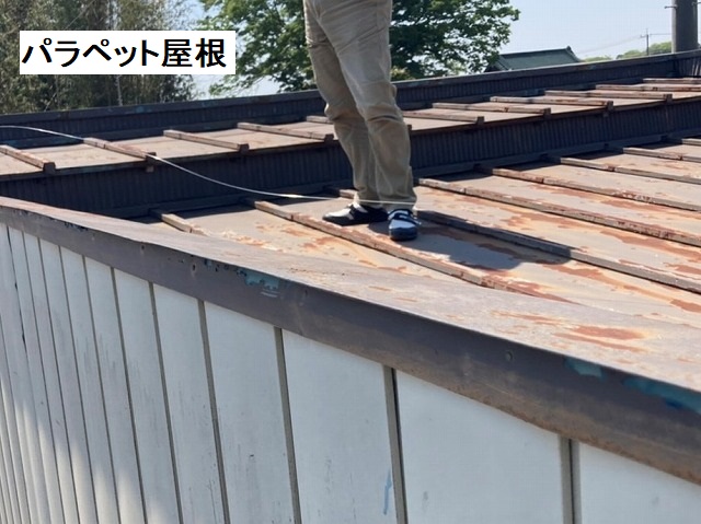 結城市のパラペット屋根を調査するスタッフ