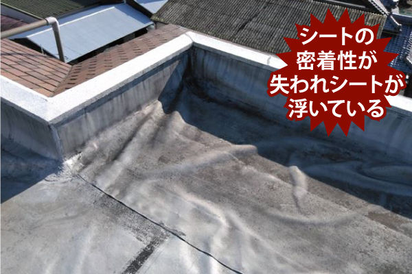 密着性が失われたシート防水のイメージ