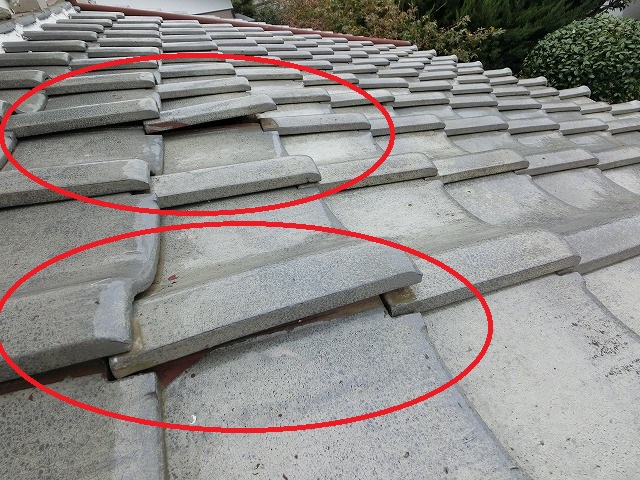 該当屋根、瓦浮きを発見