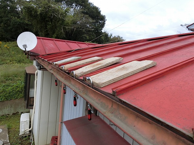 瓦棒屋根の軒先が強風で捲れたので万力で固定している