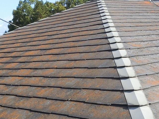 築20年目のコロニアルNEO