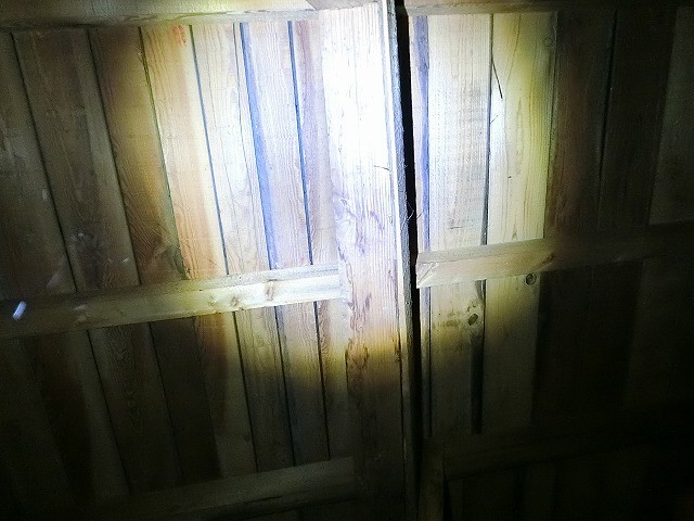 天井裏の柱に雨染みを確認